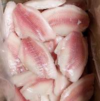 Frozen Fish Fillets