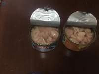 Canned Tuna