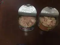Canned Tuna