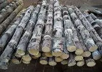 Sugarcane