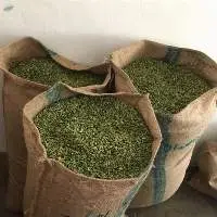 Cardamom