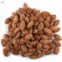 Coco Beans
