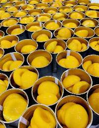 Canned Peach