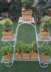 Plant Pot Stands and Cast Iron Pot Stands