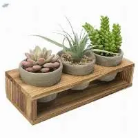 Pots