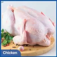 Chicken Parts