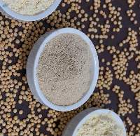 Soy Protein - Human Usage