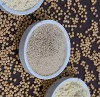 Soy Protein - Human Usage