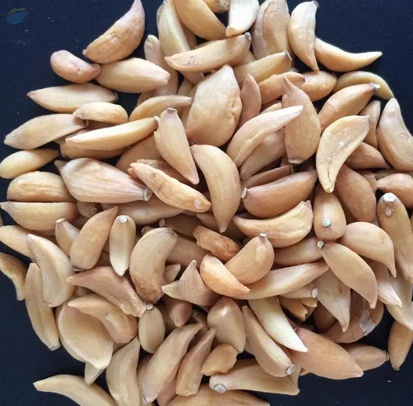 Dehydrated Garlic