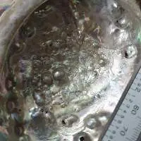Abalone Pearls