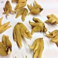 Salam Panja Extract