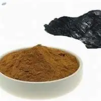 Shilajeet Extract