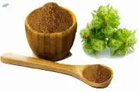 Gokhru Extract