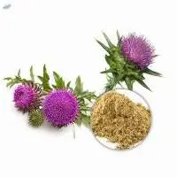 Milk Thistle Extract 80%