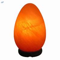 Egg Shape Salt Lamp