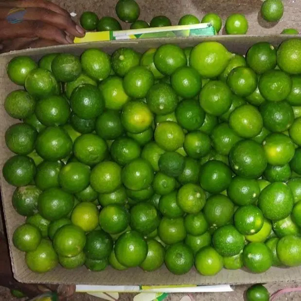 Fresh Lemons