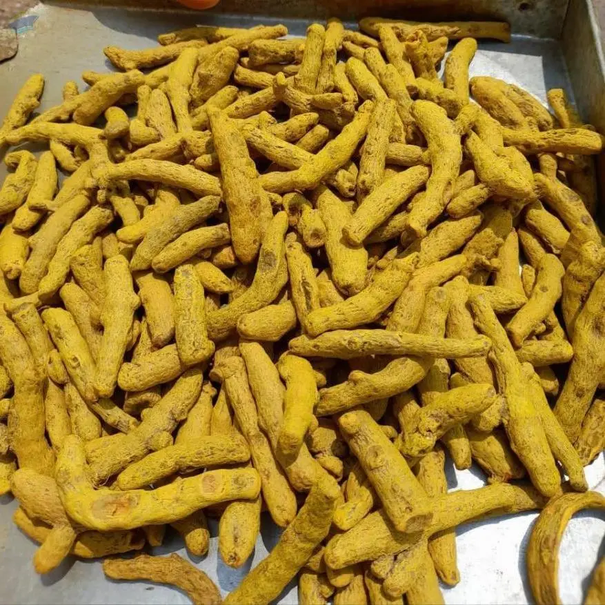 Turmeric Fingers
