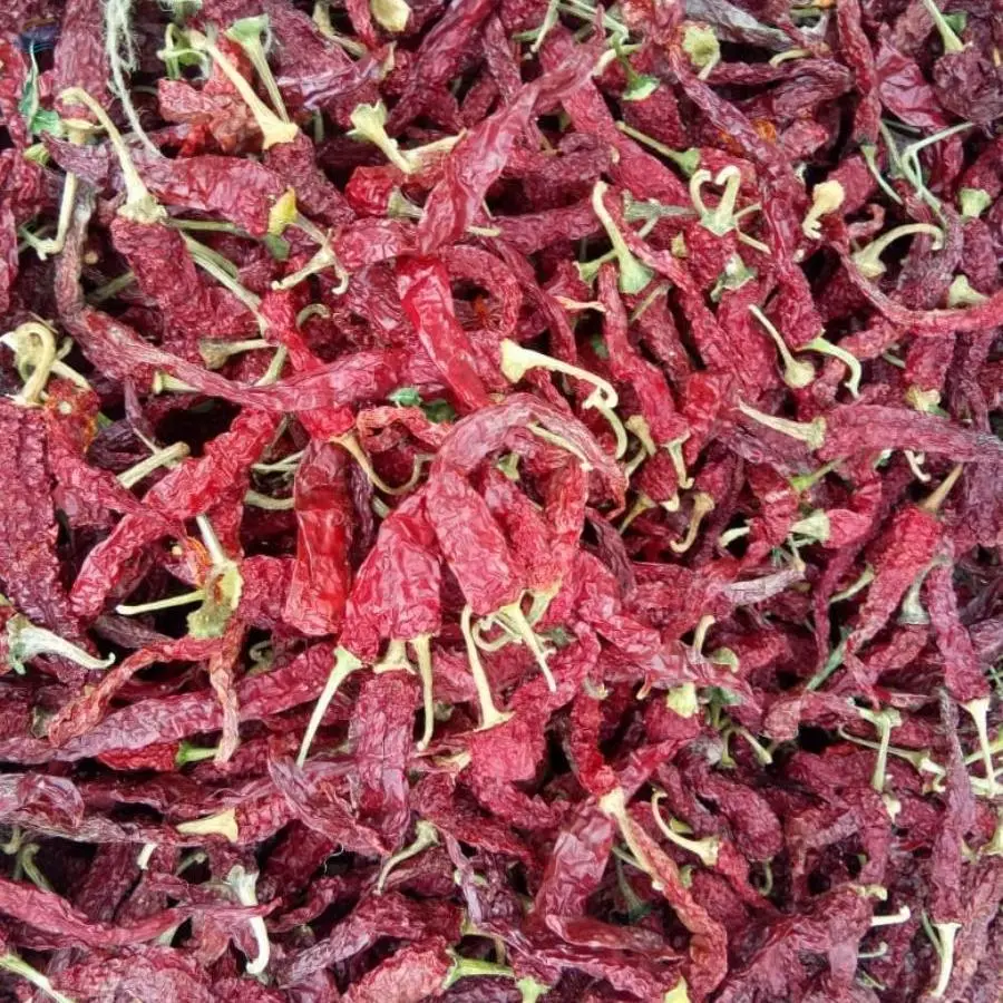 Dry Red Chillies