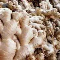 Fresh Ginger