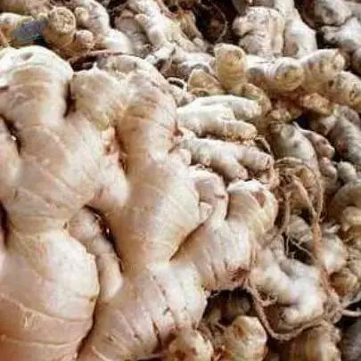 Fresh Ginger