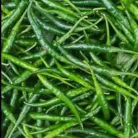 G4 Green Chilli