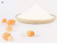 Gum Arabic Powder - Hashab