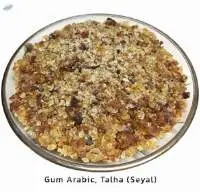 Gum Arabic Acacia Seyal