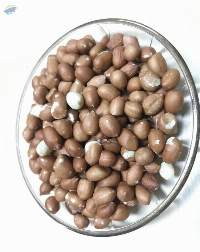 Peanuts Seeds