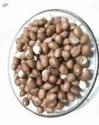 Peanuts Seeds