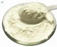 Gum Acacia Powder
