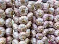 Dried Garlic