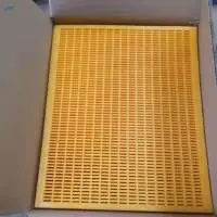 Bee Isolation Beehive Bee Excluder