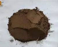 Brazilian Green Propolis Dry Extract Powder