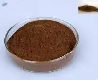 High Flavonoids Natural Propolis Extract