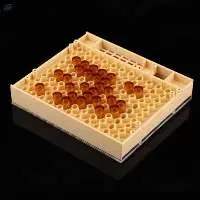 Popular Honey Bee Tools