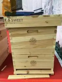 10 Frame 8 Frame Langstroth Hive