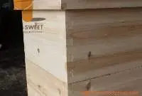 50% 60% 70% 98% Bee Propolis Powder