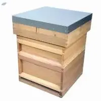 Red Cedar British National Hive 10 Frame
