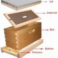 Beekeeping 4/ 5 Frames Wooden Nuc Box