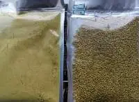 Food Grade Raw Pollen Bee