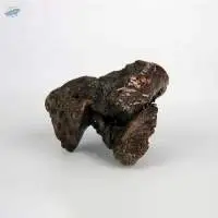 High Purity Propolis Resin 95% Herbal Extract