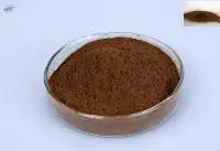 High Flavonoids Organic Propolis Extract