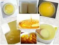 Pure Royal Jelly