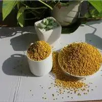 Pure Clean Fresh Raw Pollen Bulk Bee Pollen