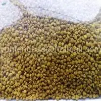 Professional Raw Pollen / Rape Bee Pollen