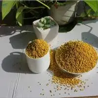 Miex Yellow Fresh Nature Bee Power Pollen