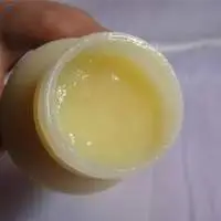 Europe Standard Premium Fresh Royal Jelly
