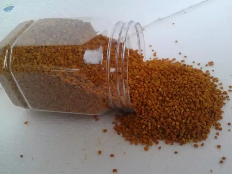 Bee Pollen Granules- 100% Natural