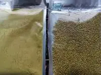Pure Natural Rape Bee Pollen