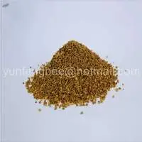 Pure Clean Rape Bee Pollen Powder